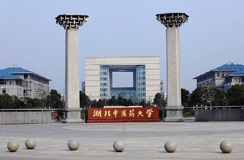 湖北中醫藥大學校門