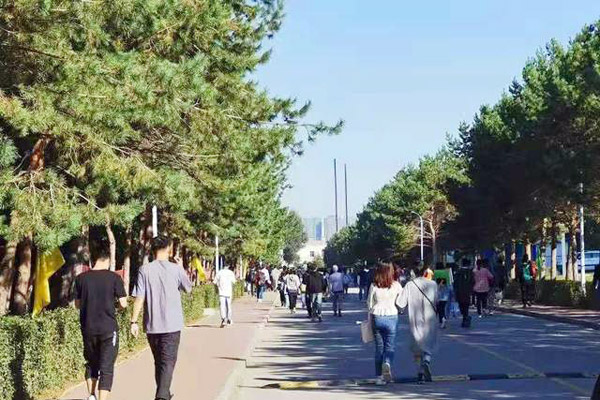 大連工業(yè)大學(xué)藝術(shù)與信息工程學(xué)院2024年在安徽的錄取分?jǐn)?shù)線（含歷年分?jǐn)?shù)線）